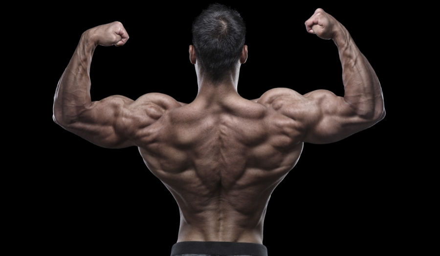 Qual o Melhor suplemento para ganhar massa muscular