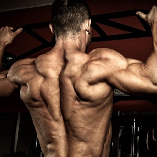 Dicas de Treino Para Potencializar o GHDROL e Ganhar Massa Muscular Mais Rápido