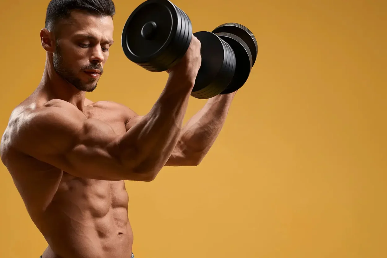 Tudo que Você Precisa Saber Sobre Hipertrofia Muscular